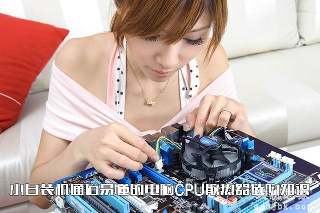 如何选购CPU散热器？小白装机通俗易懂的水冷/风冷CPU散热器知识