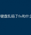 键盘乱码了fn和什么键
