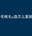 老桃毛u盘怎么重装系统