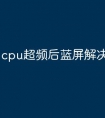 cpu超频后蓝屏解决方法