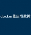 docker重启后数据没有了