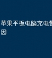 苹果平板电脑充电慢是什么原因