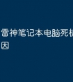 雷神笔记本电脑死机是什么原因