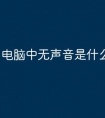 电脑中无声音是什么原因