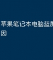 苹果笔记本电脑蓝屏是什么原因