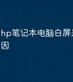 hp笔记本电脑白屏是什么原因