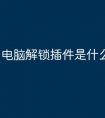 电脑解锁插件是什么原因