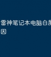 雷神笔记本电脑白屏是什么原因