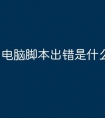 电脑脚本出错是什么原因