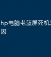 hp电脑老蓝屏死机是什么原因