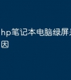 hp笔记本电脑绿屏是什么原因