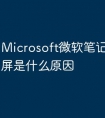 Microsoft微软笔记本电脑绿屏是什么原因