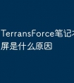 TerransForce笔记本电脑绿屏是什么原因