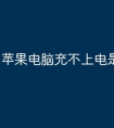 苹果电脑充不上电是什么原因