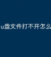 u盘文件打不开怎么办