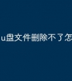 u盘文件删除不了怎么办