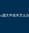 u盘文件丢失怎么办