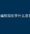 编程现在学什么语言好