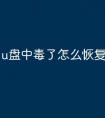 u盘中毒了怎么恢复文件