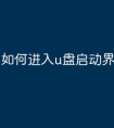 如何进入u盘启动界面