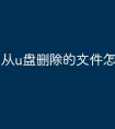 从u盘删除的文件怎么找回