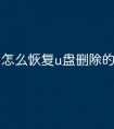 怎么恢复u盘删除的文件