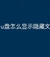u盘怎么显示隐藏文件