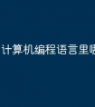 计算机编程语言里哪个最好