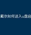 戴尔如何进入u盘启动