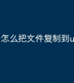 怎么把文件复制到u盘