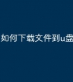 如何下载文件到u盘