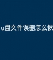 u盘文件误删怎么恢复