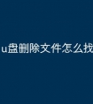 u盘删除文件怎么找回