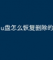 u盘怎么恢复删除的文件