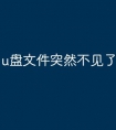u盘文件突然不见了怎么办