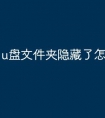 u盘文件夹隐藏了怎么办