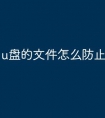u盘的文件怎么防止恢复