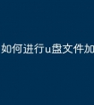 如何进行u盘文件加密