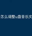 怎么调整u盘音乐文件