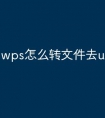 wps怎么转文件去u盘