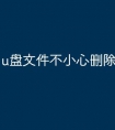 u盘文件不小心删除怎么恢复