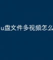 u盘文件多视频怎么找