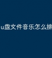 u盘文件音乐怎么排顺序