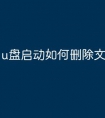 u盘启动如何删除文件