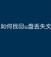 如何找回u盘丢失文件