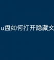 u盘如何打开隐藏文件