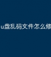 u盘乱码文件怎么修复