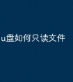 u盘如何只读文件