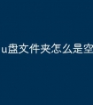 u盘文件夹怎么是空的