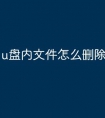 u盘内文件怎么删除视频